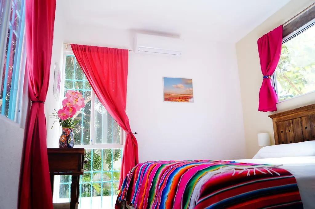 Casa De Colores Mexico